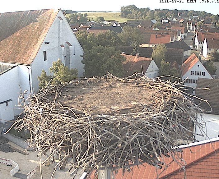 Archiv Foto Webcam Storchencam auf dem Rathaus Jettingen-Scheppach