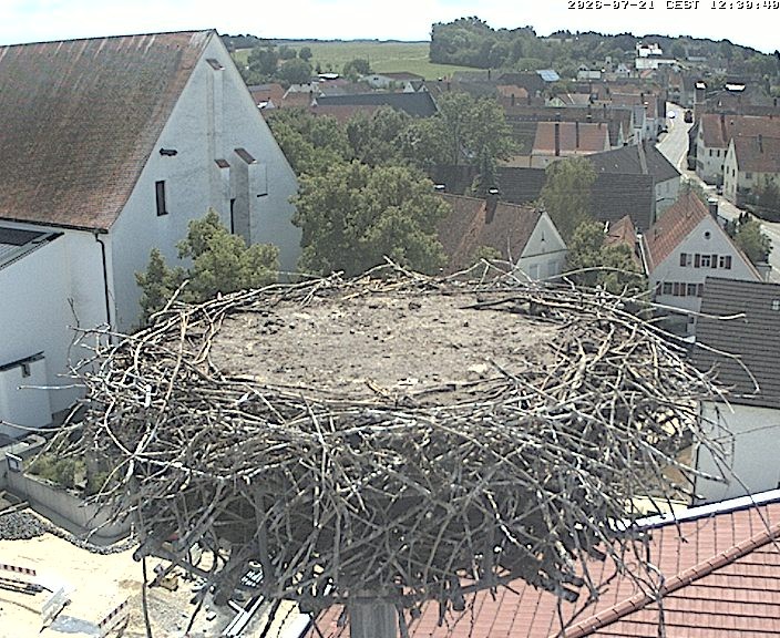 Archiv Foto Webcam Storchencam auf dem Rathaus Jettingen-Scheppach