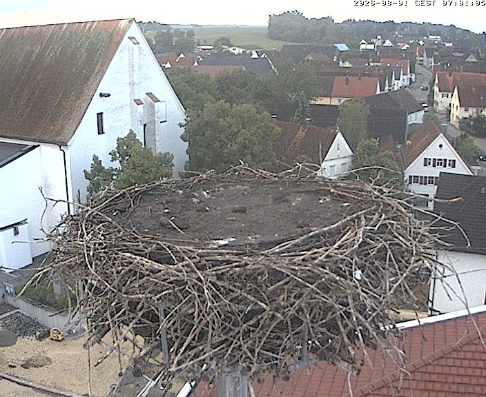 Archiv Foto Webcam Storchencam auf dem Rathaus Jettingen-Scheppach