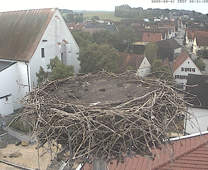 Archiv Foto Webcam Storchencam auf dem Rathaus Jettingen-Scheppach