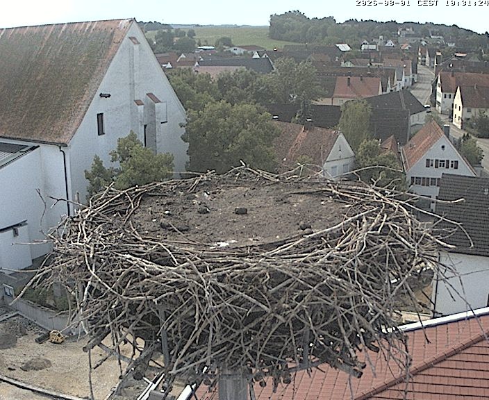 Archiv Foto Webcam Storchencam auf dem Rathaus Jettingen-Scheppach