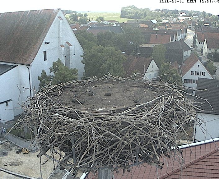 Archiv Foto Webcam Storchencam auf dem Rathaus Jettingen-Scheppach