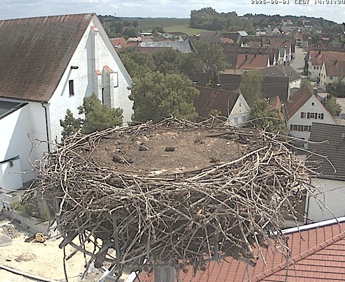 Archiv Foto Webcam Storchencam auf dem Rathaus Jettingen-Scheppach