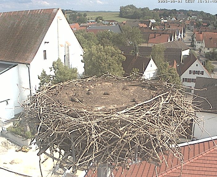 Archiv Foto Webcam Storchencam auf dem Rathaus Jettingen-Scheppach