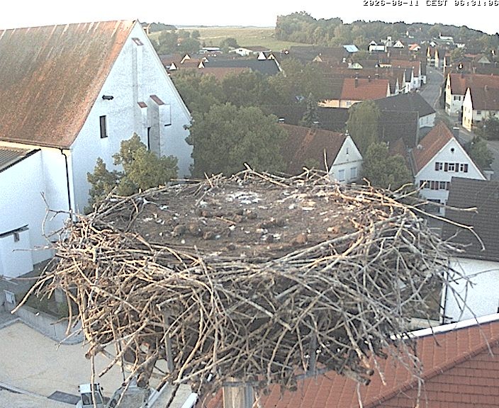 Archiv Foto Webcam Storchencam auf dem Rathaus Jettingen-Scheppach