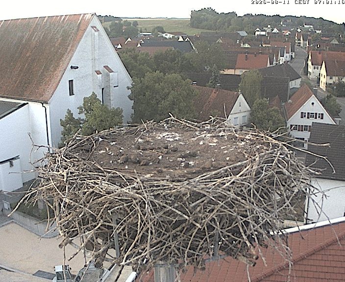 Archiv Foto Webcam Storchencam auf dem Rathaus Jettingen-Scheppach