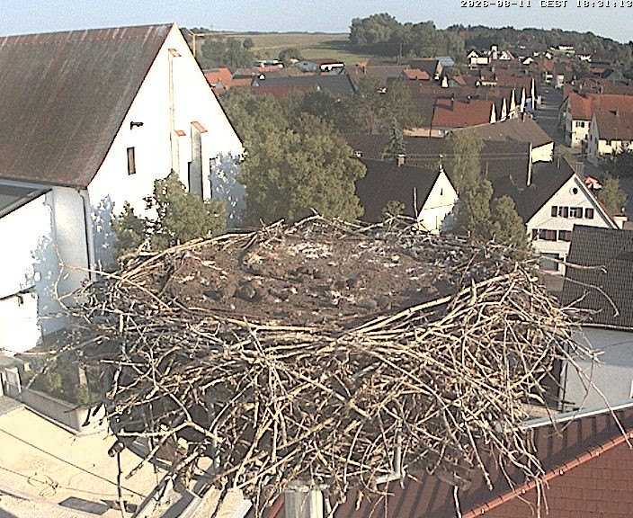 Archiv Foto Webcam Storchencam auf dem Rathaus Jettingen-Scheppach