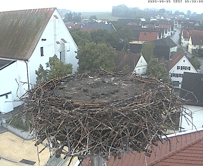 Archived image Webcam Stork Nest on top of the Town Hall of Jettingen-Scheppach