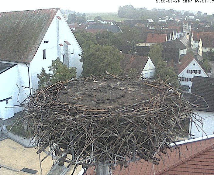 Archived image Webcam Stork Nest on top of the Town Hall of Jettingen-Scheppach