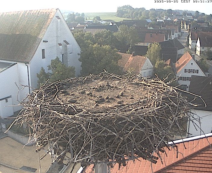 Archived image Webcam Stork Nest on top of the Town Hall of Jettingen-Scheppach