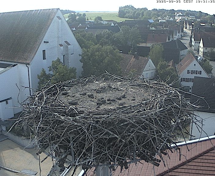 Archived image Webcam Stork Nest on top of the Town Hall of Jettingen-Scheppach