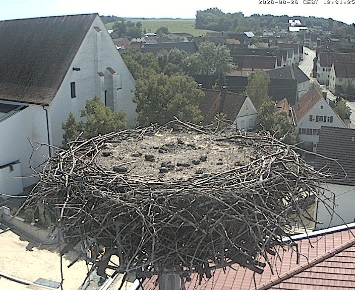Archived image Webcam Stork Nest on top of the Town Hall of Jettingen-Scheppach