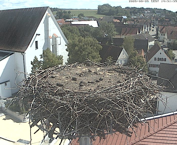 Archived image Webcam Stork Nest on top of the Town Hall of Jettingen-Scheppach