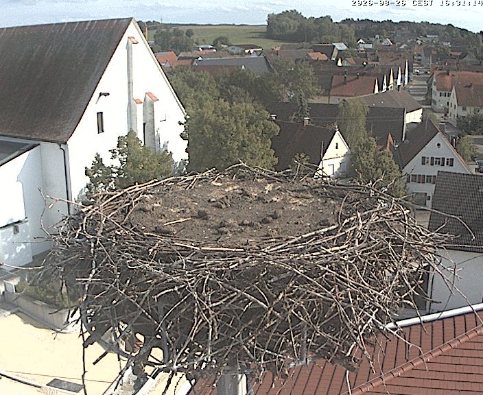 Archived image Webcam Stork Nest on top of the Town Hall of Jettingen-Scheppach