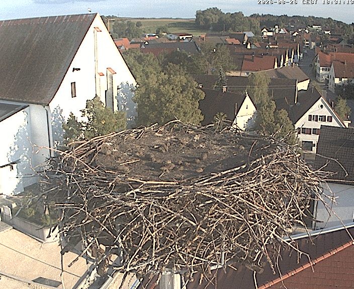 Archived image Webcam Stork Nest on top of the Town Hall of Jettingen-Scheppach