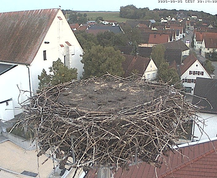 Archiv Foto Webcam Storchencam auf dem Rathaus Jettingen-Scheppach