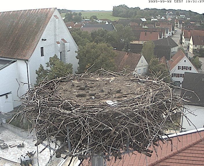 Archiv Foto Webcam Storchencam auf dem Rathaus Jettingen-Scheppach