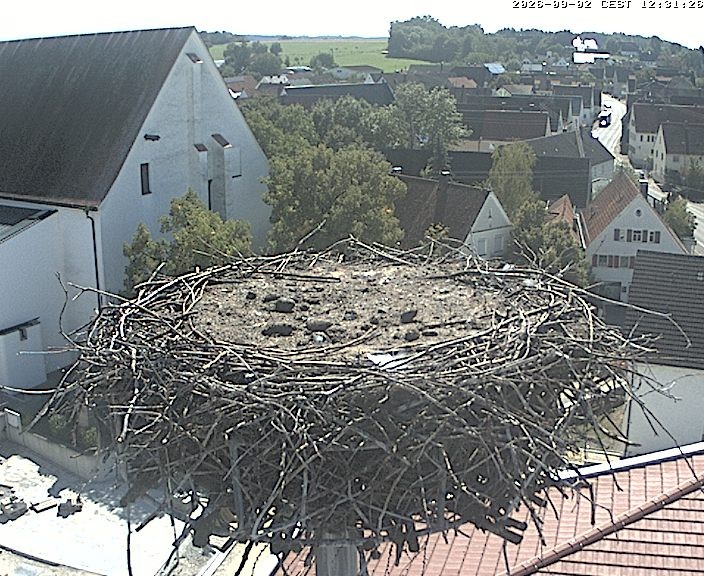 Archiv Foto Webcam Storchencam auf dem Rathaus Jettingen-Scheppach
