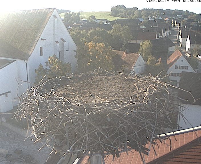 Archiv Foto Webcam Storchencam auf dem Rathaus Jettingen-Scheppach