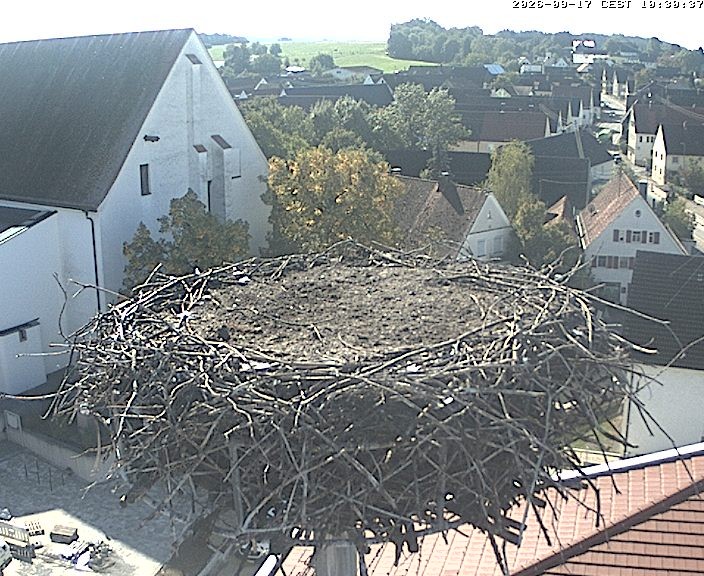 Archiv Foto Webcam Storchencam auf dem Rathaus Jettingen-Scheppach