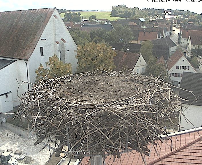Archiv Foto Webcam Storchencam auf dem Rathaus Jettingen-Scheppach