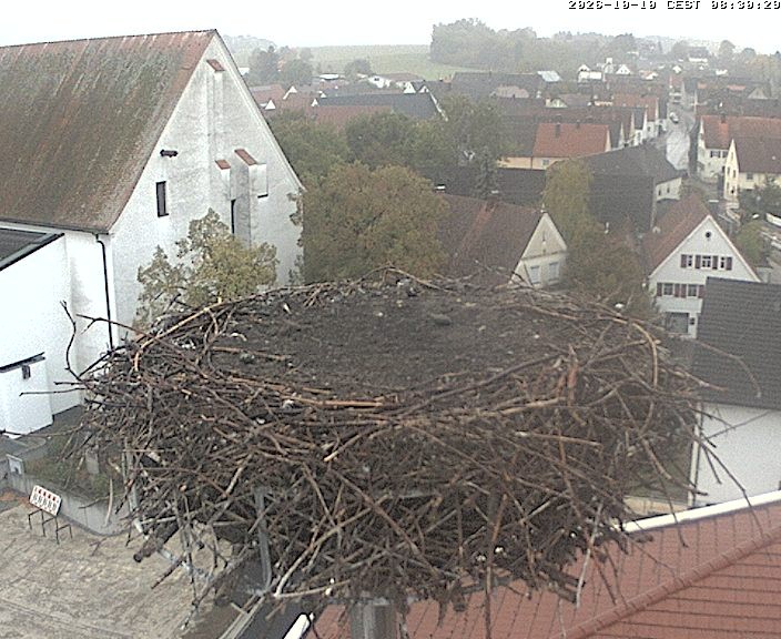 Archived image Webcam Stork Nest on top of the Town Hall of Jettingen-Scheppach