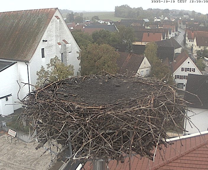Archived image Webcam Stork Nest on top of the Town Hall of Jettingen-Scheppach