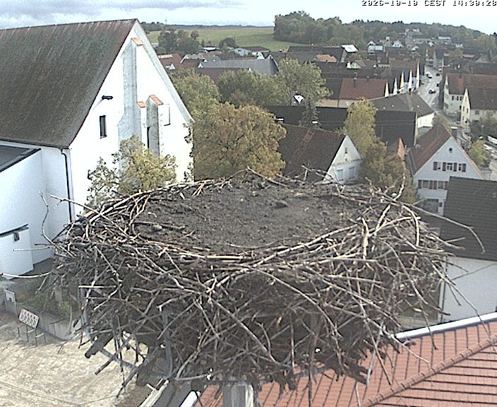 Archived image Webcam Stork Nest on top of the Town Hall of Jettingen-Scheppach