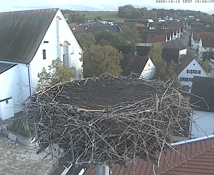 Archived image Webcam Stork Nest on top of the Town Hall of Jettingen-Scheppach