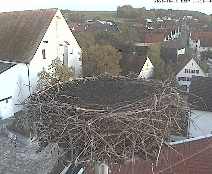 Archived image Webcam Stork Nest on top of the Town Hall of Jettingen-Scheppach