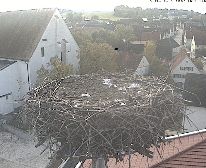Archiv Foto Webcam Storchencam auf dem Rathaus Jettingen-Scheppach