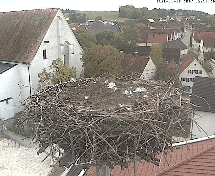 Archiv Foto Webcam Storchencam auf dem Rathaus Jettingen-Scheppach
