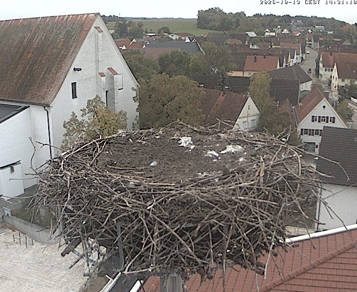 Archiv Foto Webcam Storchencam auf dem Rathaus Jettingen-Scheppach