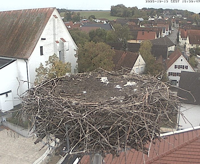 Archiv Foto Webcam Storchencam auf dem Rathaus Jettingen-Scheppach