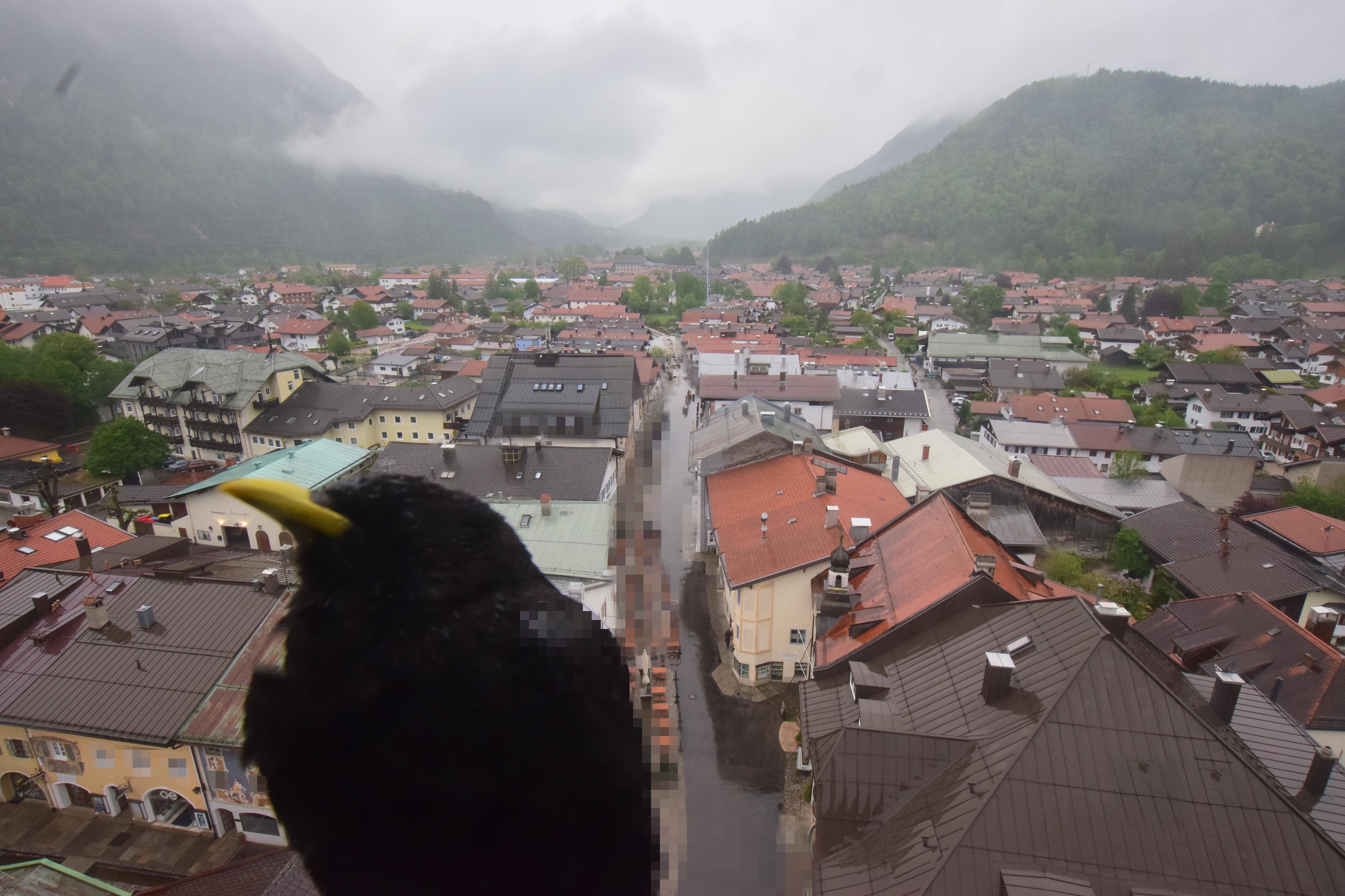 Archiv Foto Webcam Karwendel Mittenwald - Kirche