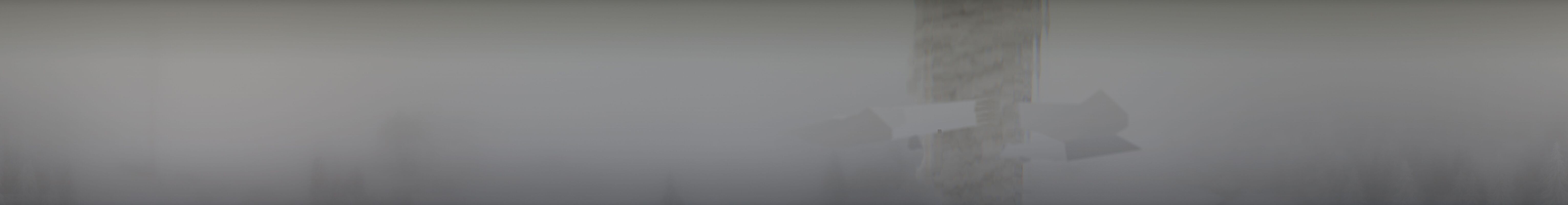 Archived image Webcam Bleßberg Mountain Near Sachsenbrunn