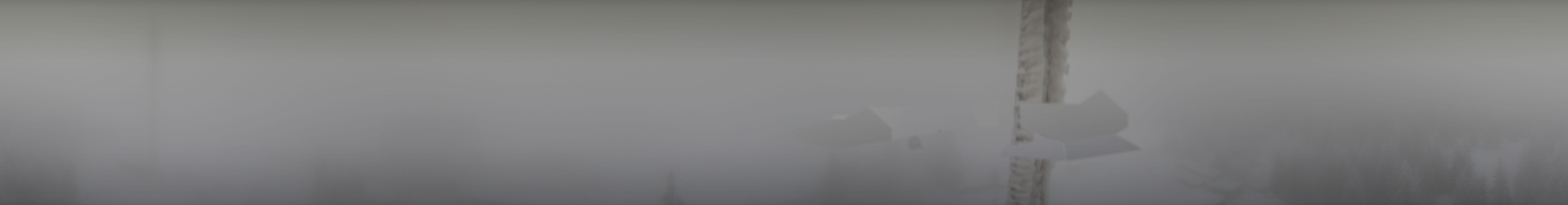 Archiv Foto Webcam Bleßberg bei Sachsenbrunn