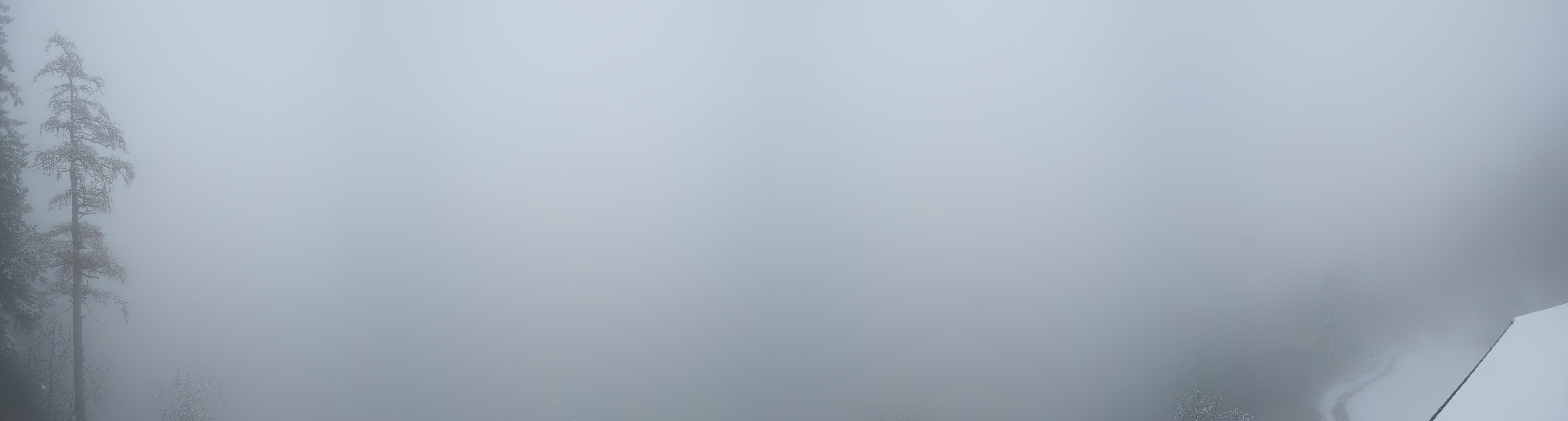 Archiv Foto Webcam Mayrhofen im Zillertal: Blick vom Gasthof Zimmereben