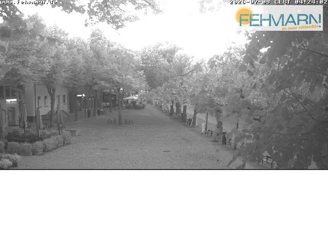 Archiv Foto Webcam Fehmarn: Marktplatz in Burg