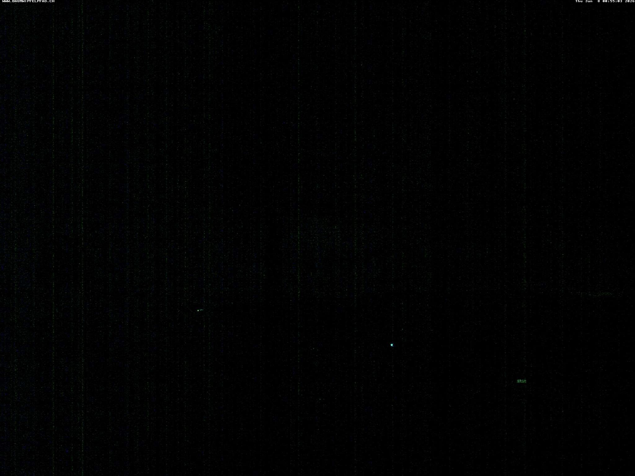 Archiv Foto Webcam Baumwipfelpfad Neckertal