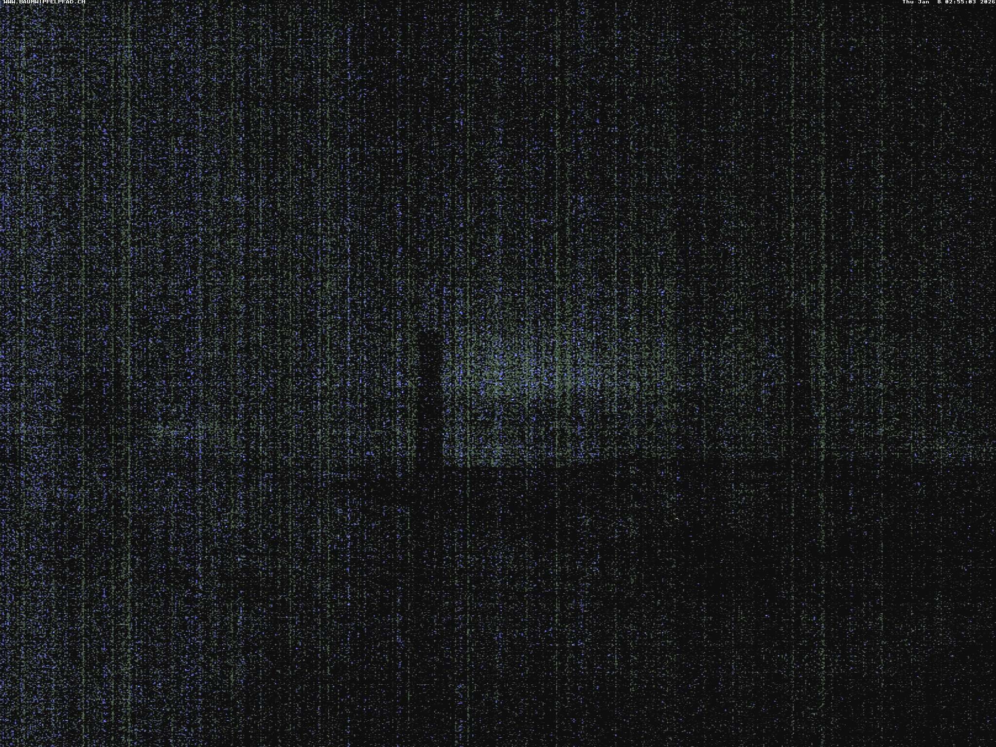 Archiv Foto Webcam Baumwipfelpfad Neckertal