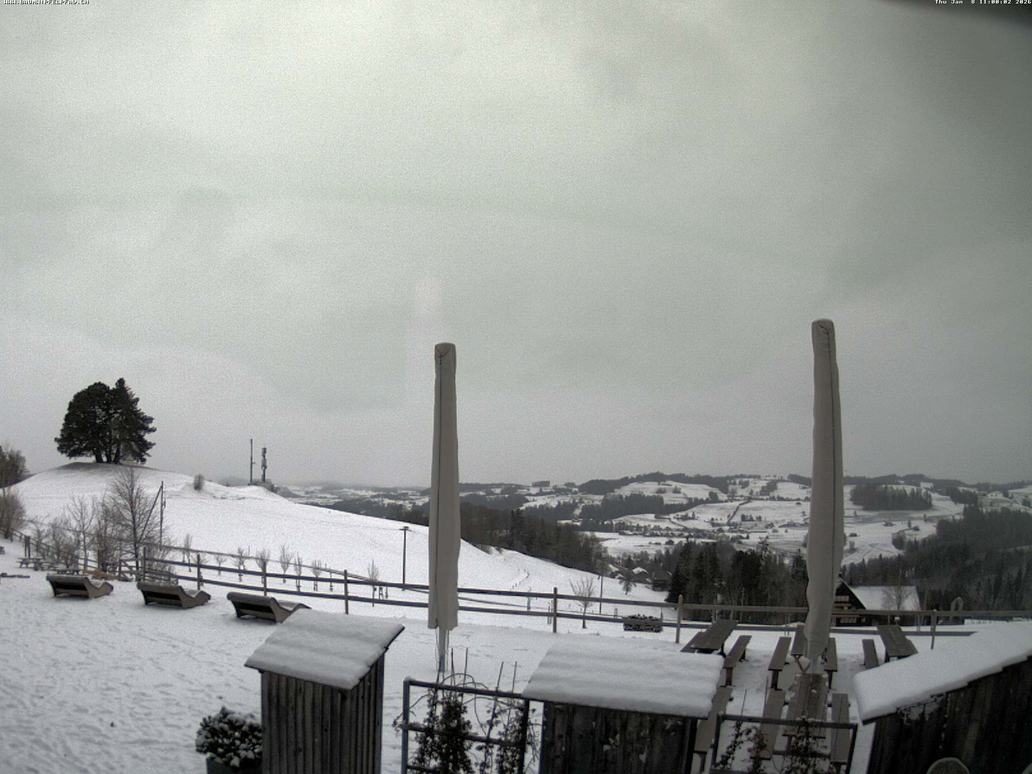 Archiv Foto Webcam Baumwipfelpfad Neckertal