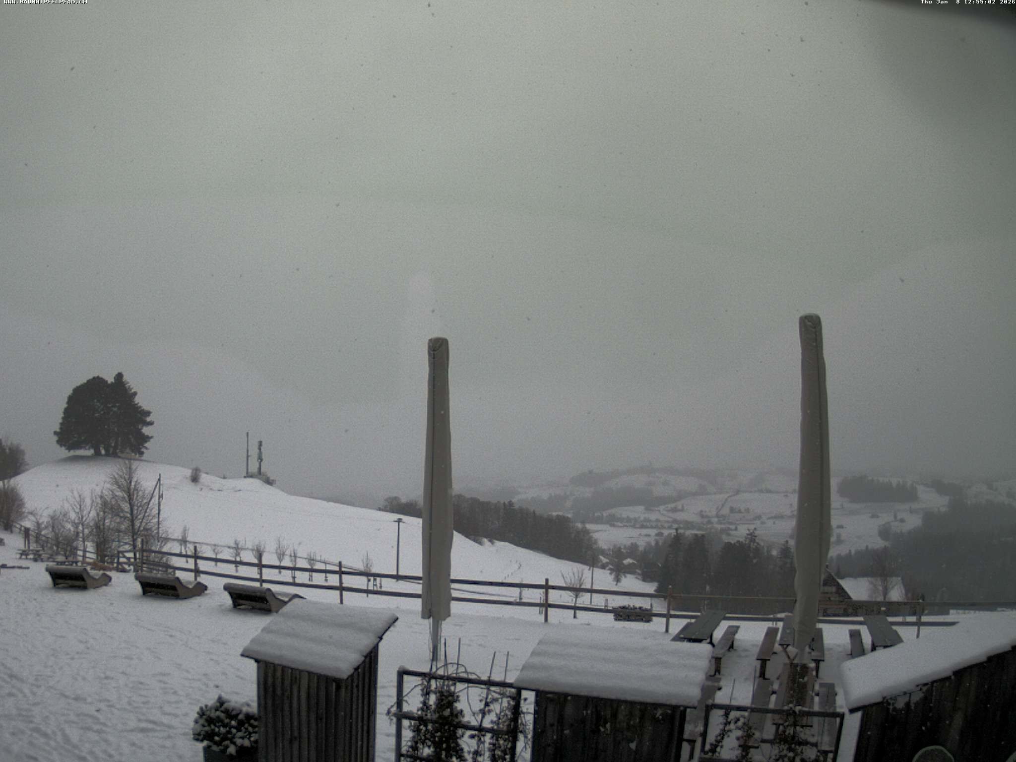 Archiv Foto Webcam Baumwipfelpfad Neckertal