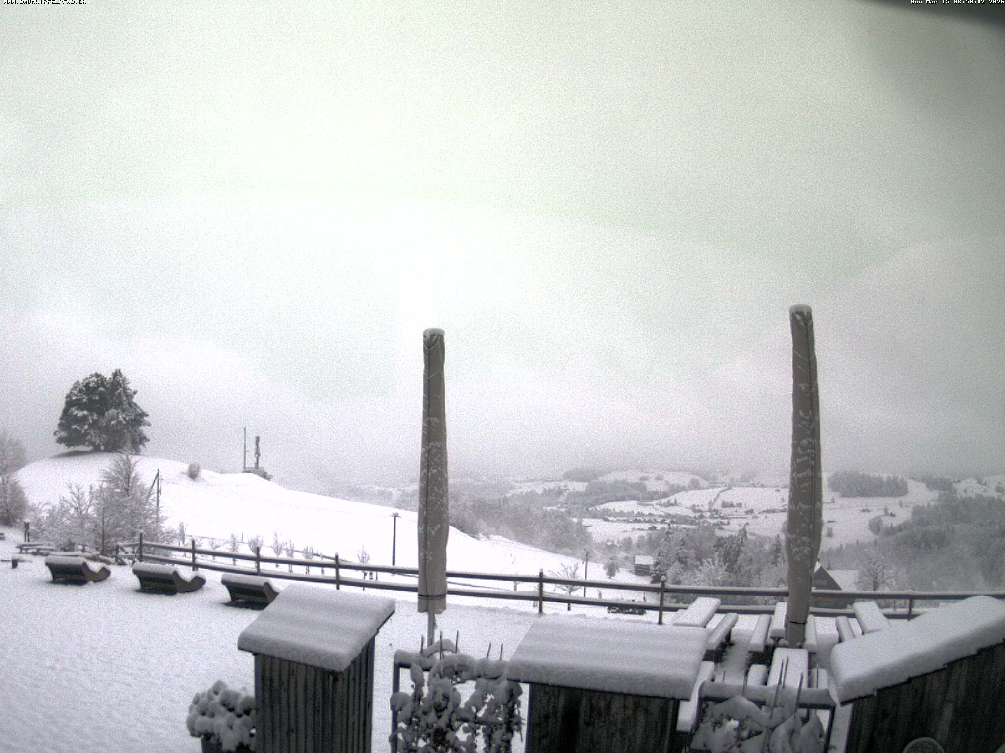 Archiv Foto Webcam Baumwipfelpfad Neckertal