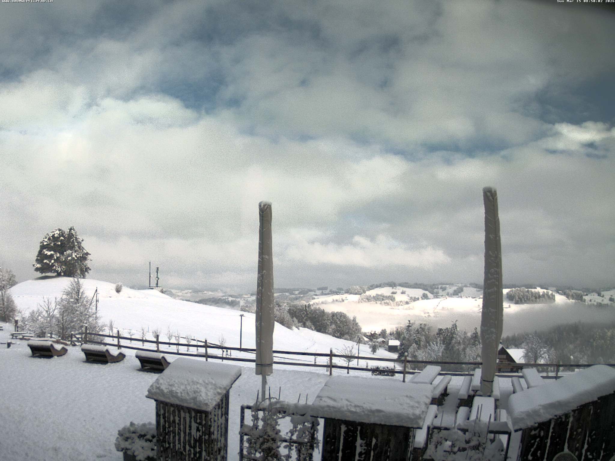 Archiv Foto Webcam Baumwipfelpfad Neckertal