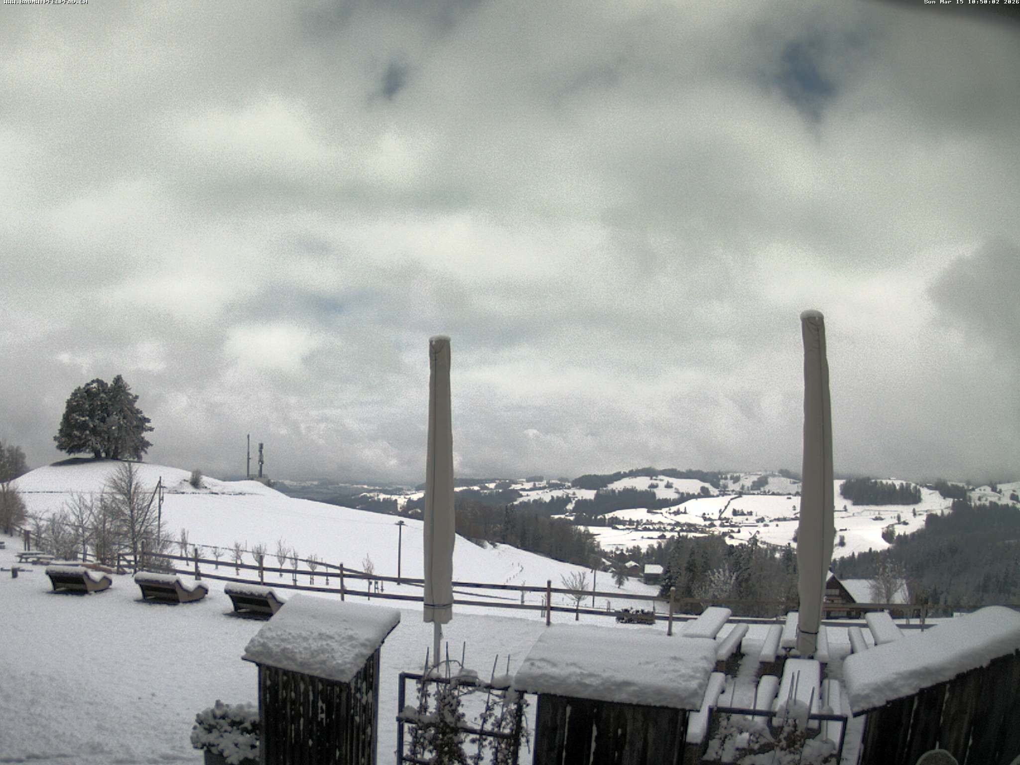 Archiv Foto Webcam Baumwipfelpfad Neckertal