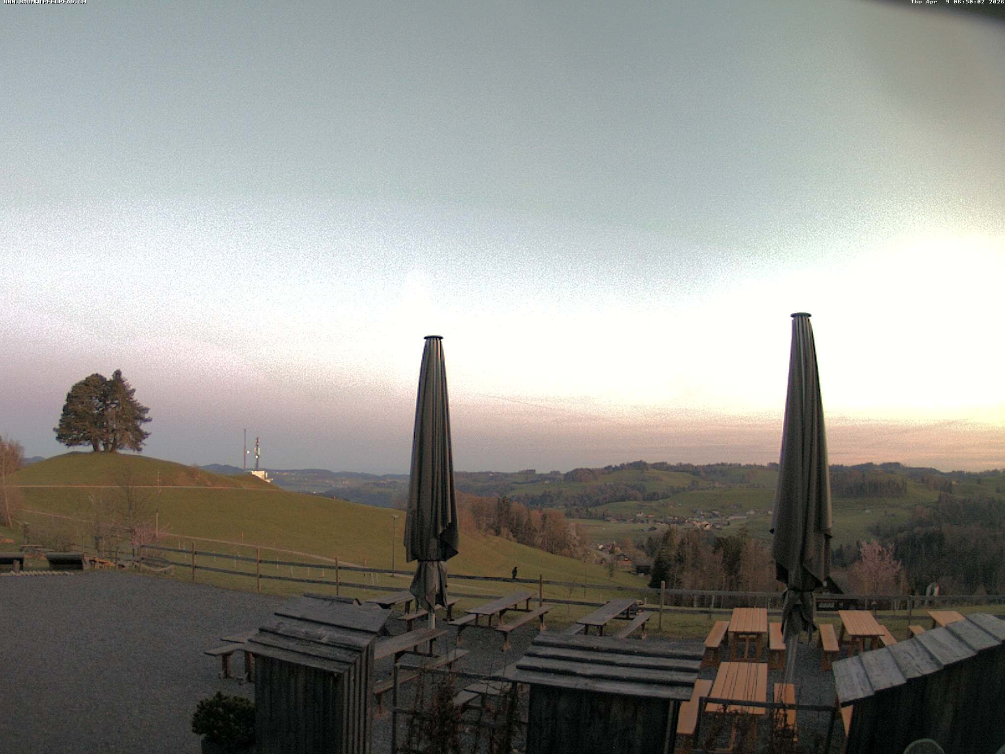 Archiv Foto Webcam Baumwipfelpfad Neckertal