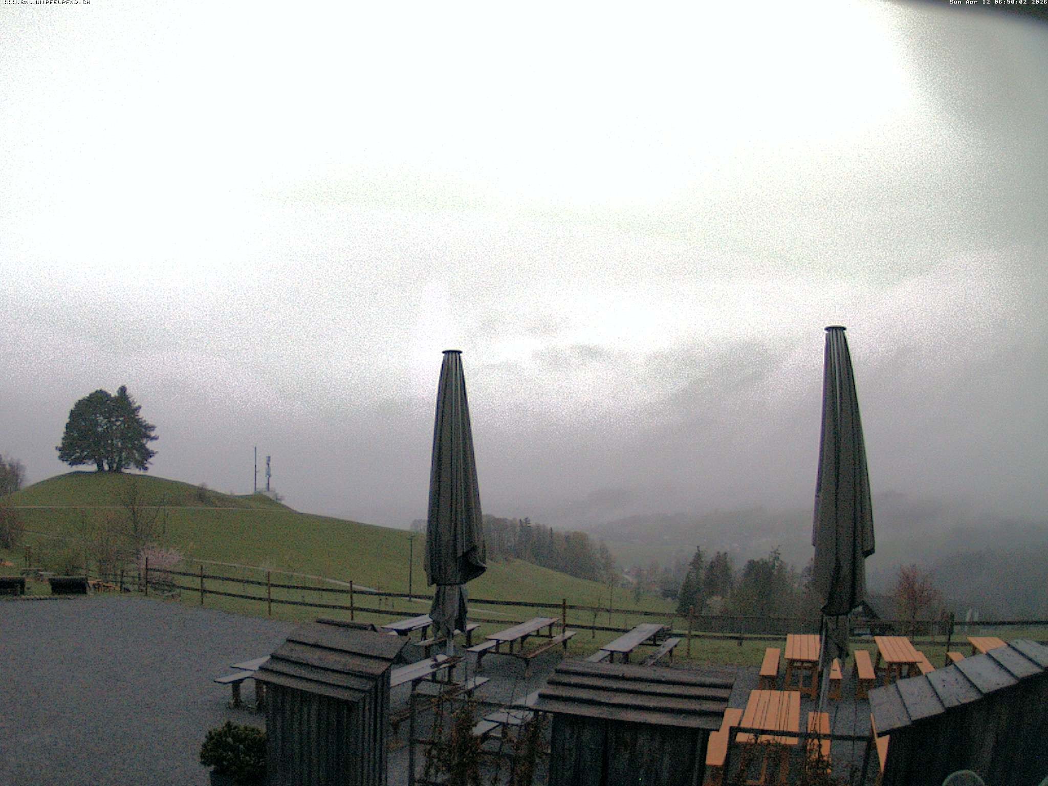 Archived image Webcam Treetop Walk Neckertal