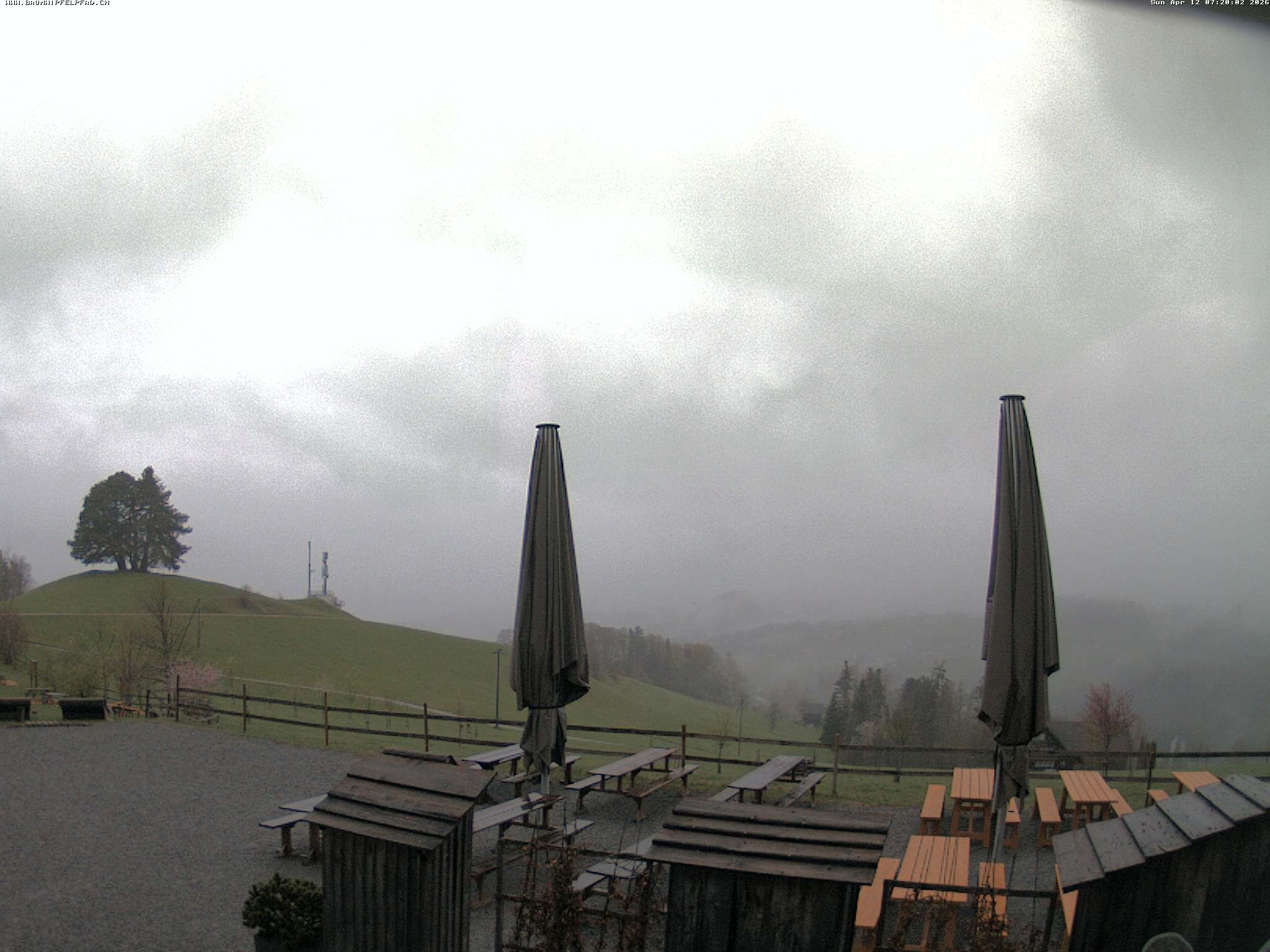 Archived image Webcam Treetop Walk Neckertal