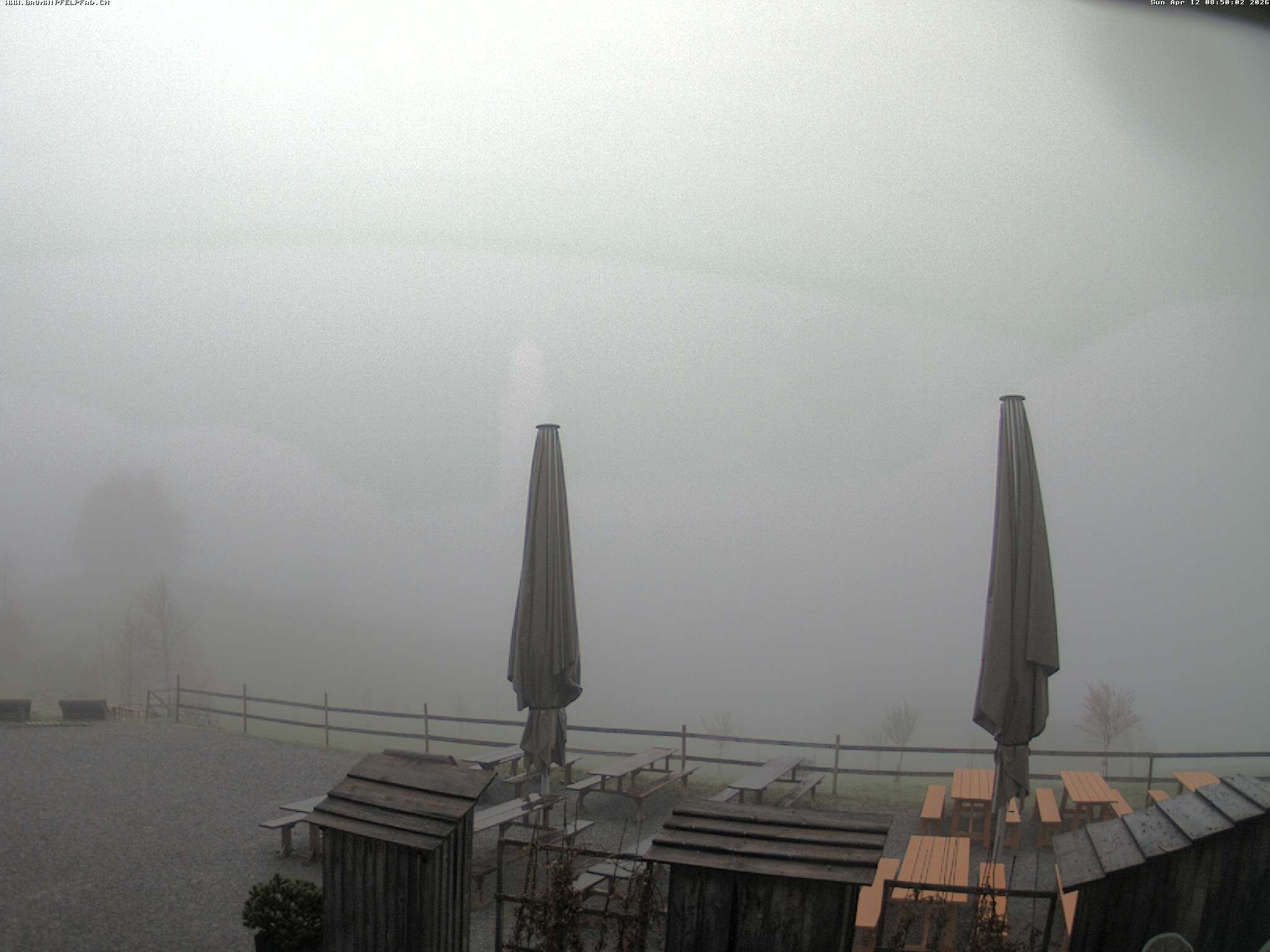 Archived image Webcam Treetop Walk Neckertal